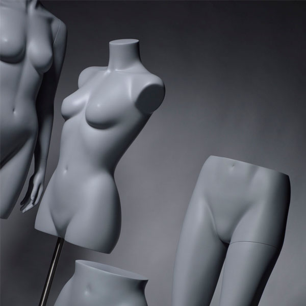 Standard_Female_Forms