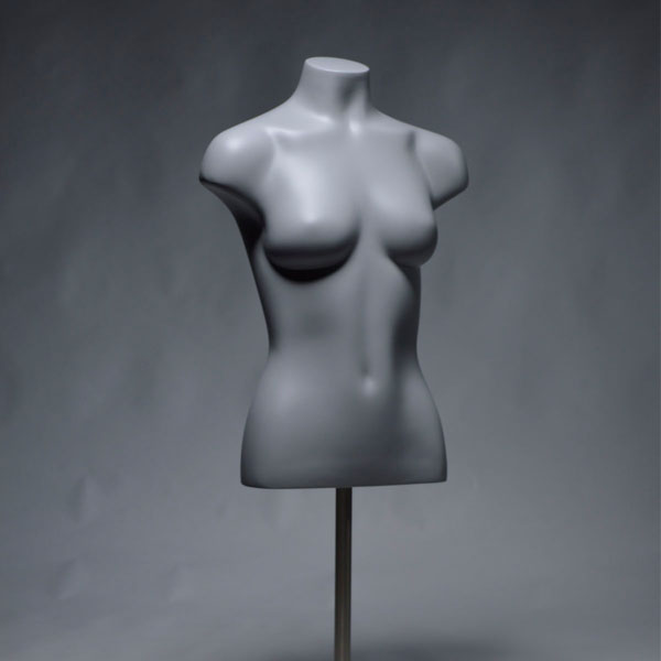 Standard_Female_Forms