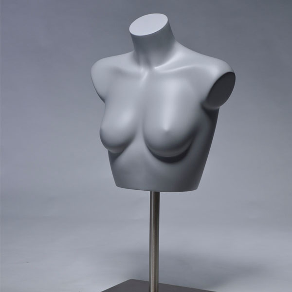 Standard_Female_Forms