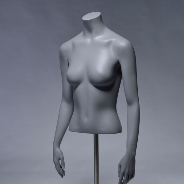 Standard_Female_Forms